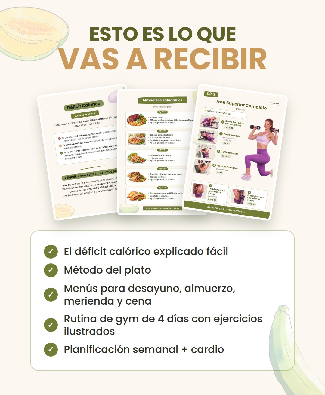 Esto es lo que vas a recibir